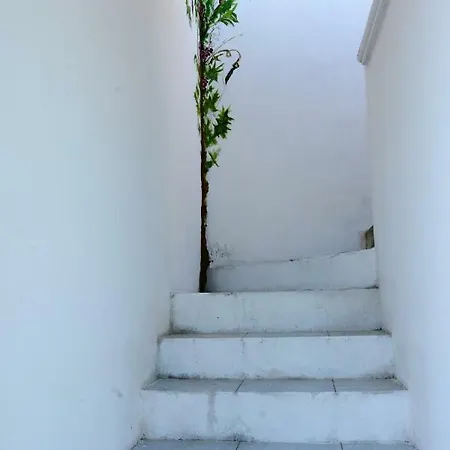 Degli Ulivi Pensjonat 3*
