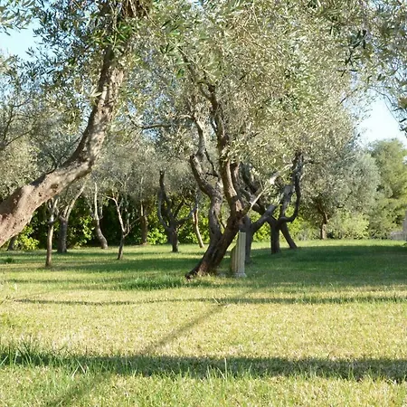 Degli Ulivi Pensjonat