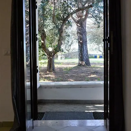 Πανσιόν Degli Ulivi